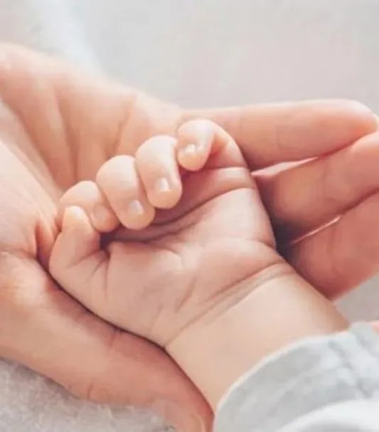 IMG-20241226-WA0035~3