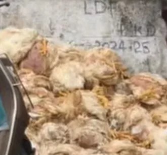 Screenshot_2025-01-19-14-32-54-16_1c337646f29875672b5a61192b9010f9~2