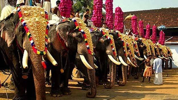 elephant-procession.1.393895.jpg